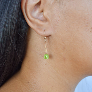 Yay Hawaii Paperclip Pakalana earrings featuring gold-tone metal and Pakalana flower design, stylish and lightweight jewelry.