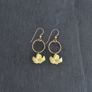Yay Hawaii small hoop earrings featuring large Puakenikeni flower design in vibrant colors, perfect for tropical-inspired style.