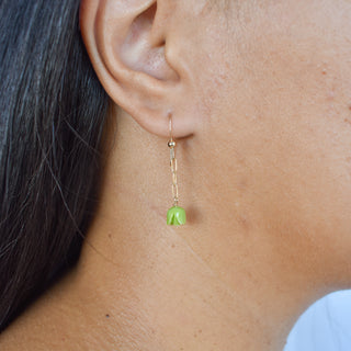 Paperclip Pakalana Earrings - Yay Hawaii